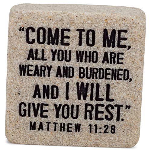 Image 22313